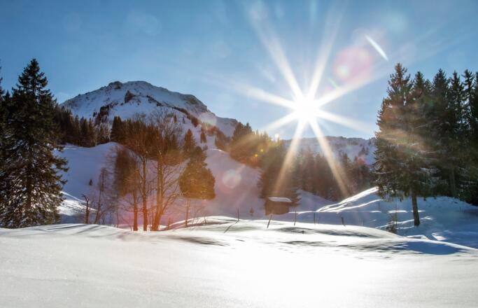 Blick vom Hammeratsbergvorsäß in Schetteregg