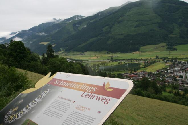 Schautafel am Weg