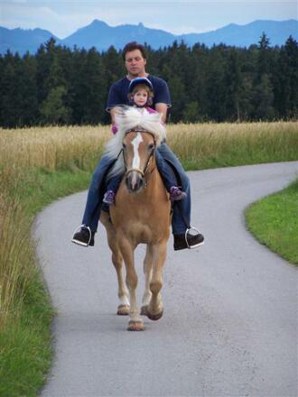 Stockerhof Pferdereiten