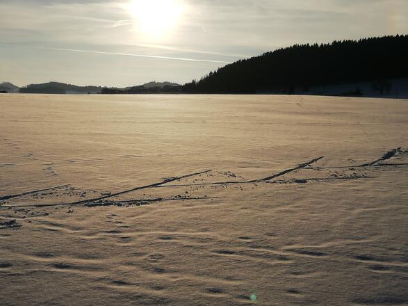 Langlaufloipe Freistadt