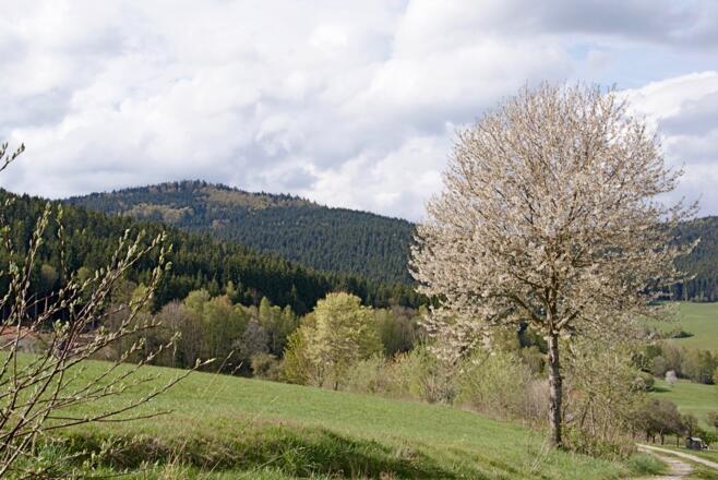 Vor Lindenau - Blick zurück zum Schusterstein