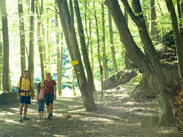 Wandern in Oberoesterreich