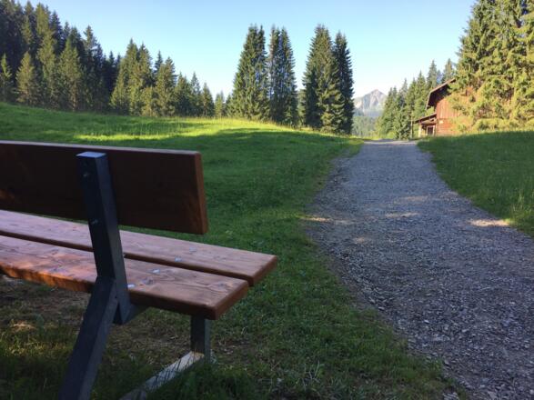 Schotterweg in die Au