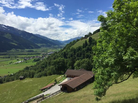 Blick auf Pirtendorf