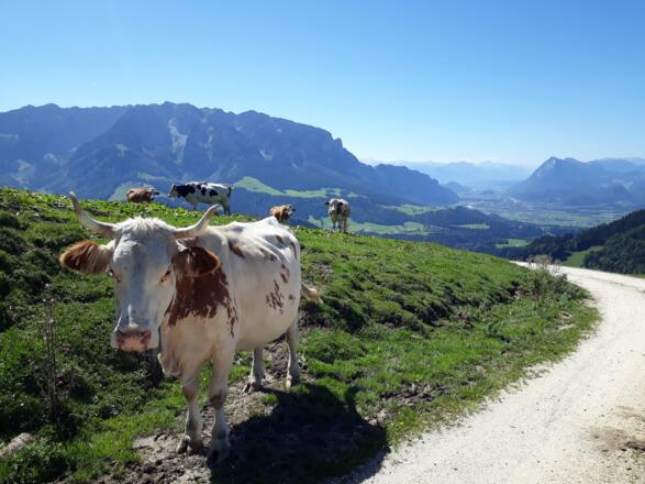 Meeting the locals along the trail