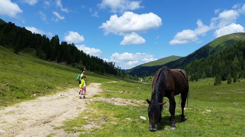 Der gleiche Weg zurück