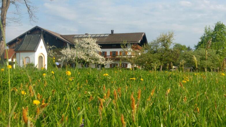unser Moier-Hof inmitten eines Blumenmeeres im Vordergrund unsere Hofkapelle