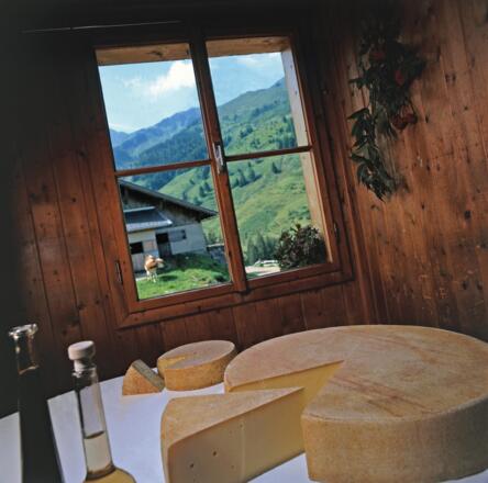 Käse von der Schönangeralm Wildschönau
