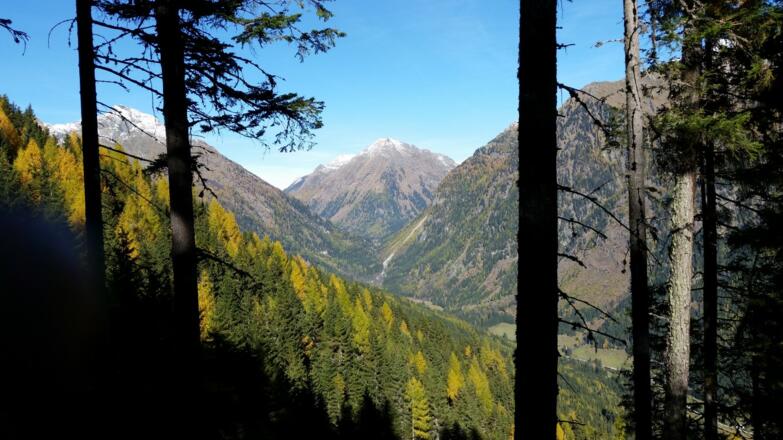 Ausblick ins Weißpriachtal