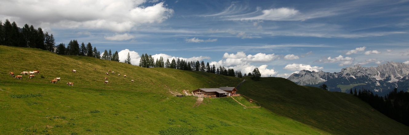 Blick auf die Karalm entlang des Salzburger Almenweges