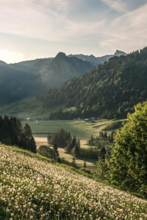 Blick auf Schönenbach von der Alpe Kretzboden
