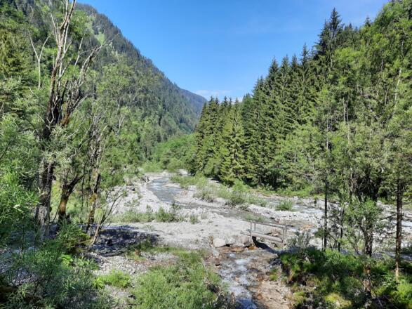 Blick talauswärts