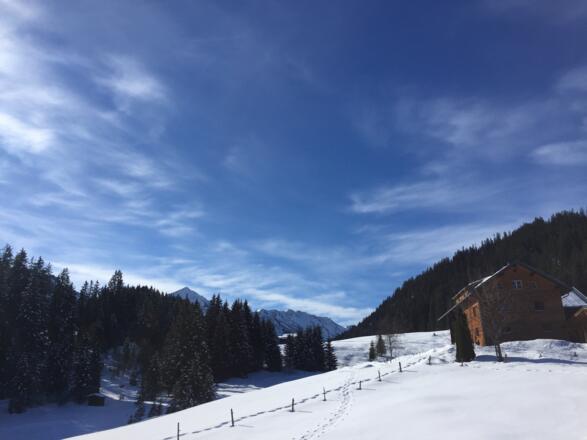 Unterwegs im Wäldele