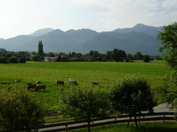 Ausblick
