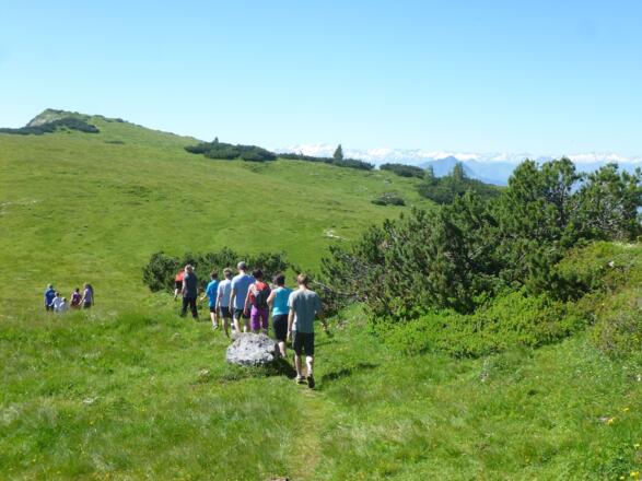 Blick zum Gipfel