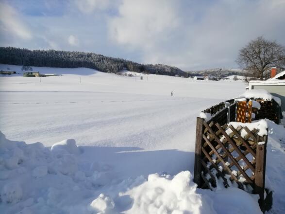 Langlaufloipe Freistadt, Einstieg Koldastraße