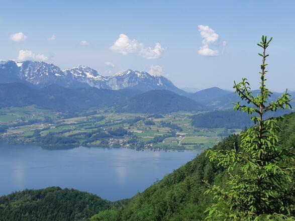 Traunsee mit Höllengebirge
