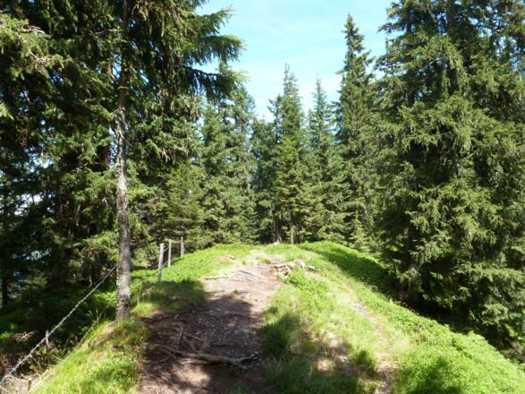 Am Saalachtaler Höhenweg.