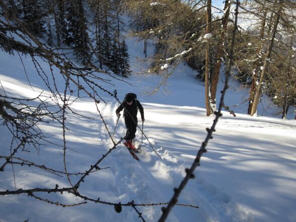 ... und wir erreichen schließlich die Waldgrenze.