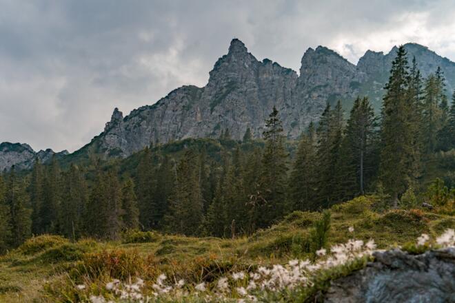 Blick hinauf Richtung Gipfel des Schillerkopfes