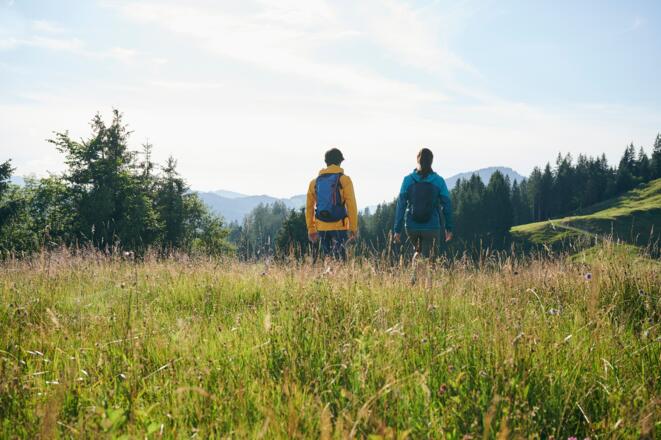 Wandern am Rindberg in Sibratsgfäll