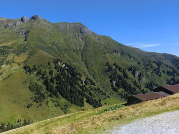 Wanderung auf der Gedauner Hochalm