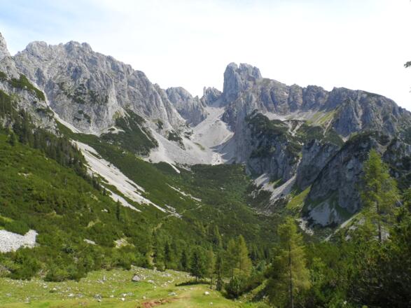 Bischofsmütze