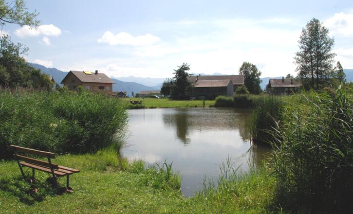 Dörnlesee Lingenau