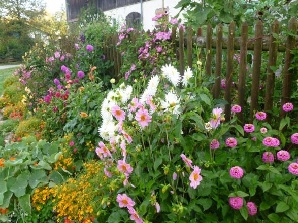 Blumen Unterkunft Obermeier