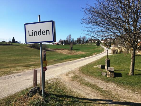 Linden