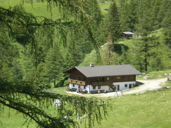Wollbachalm