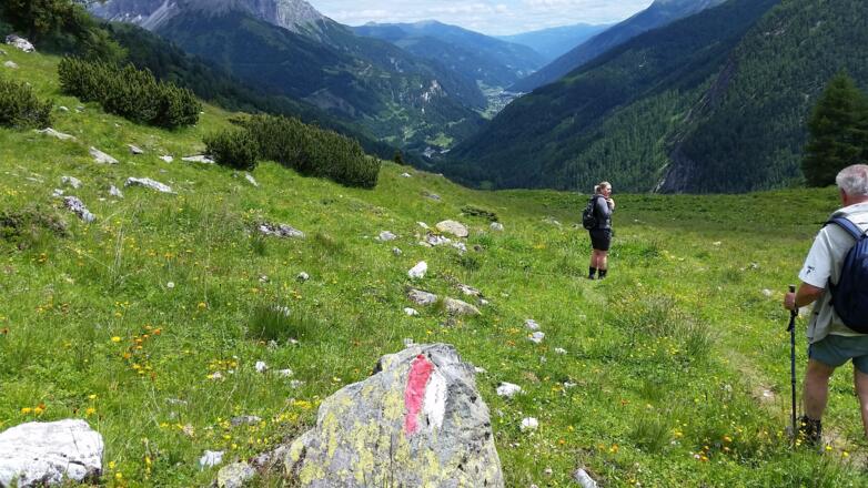Kurz vor dem Forstweg Richtung Schliereralm
