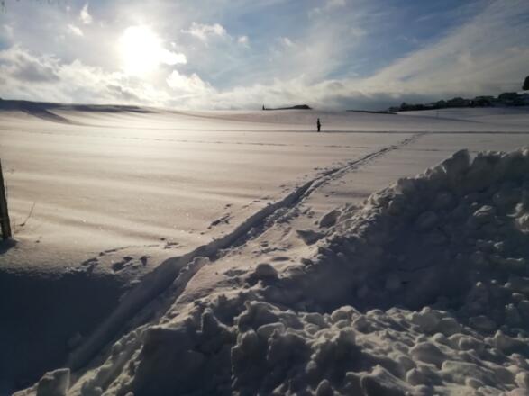 Langlaufloipe Freistadt