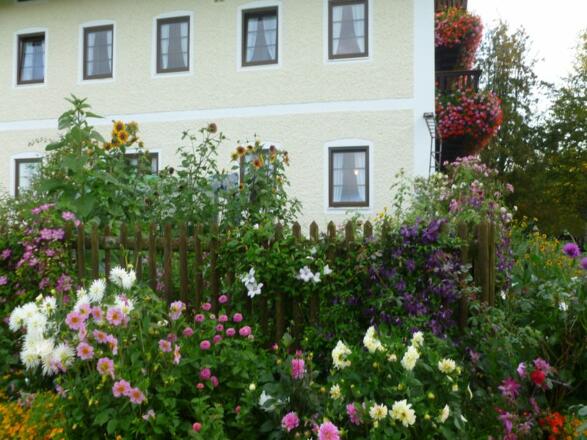 Blumen am Haus Unterkunft Obermeier