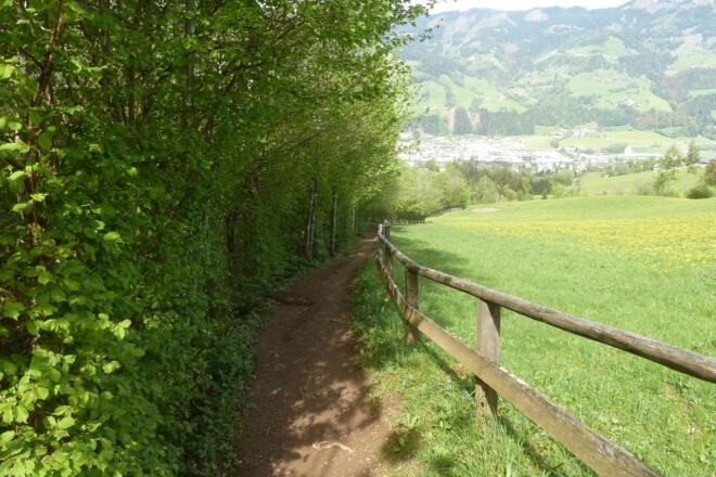 Weg zur Vogei Hütte