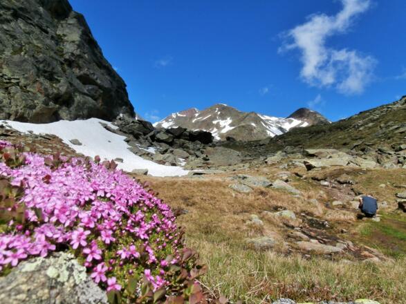 Blich Richtung Wilde Grube