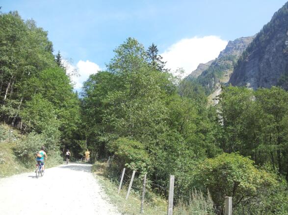 Anstieg zwischen Dicktlerhütte und Granglerhütte