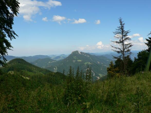 Der Schieferstein