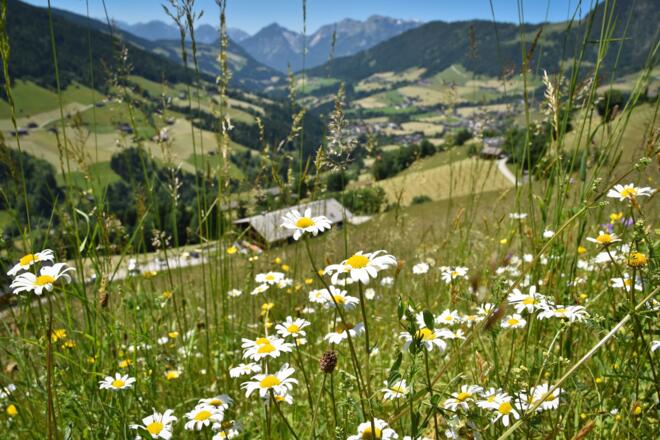 Oberer Höhenweg Alpbach