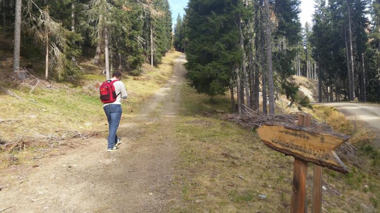 Forstweg zur Wildbachhütte