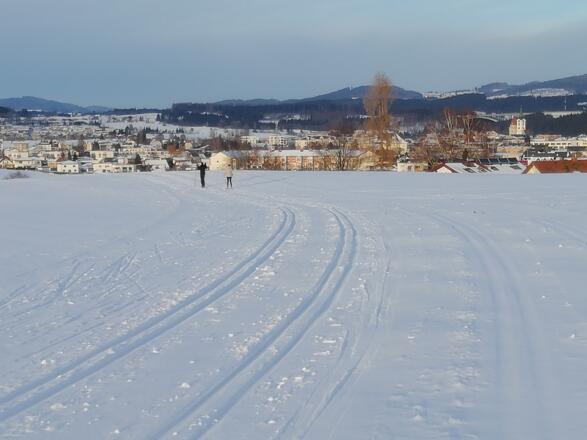 Langlaufloipe Freistadt
