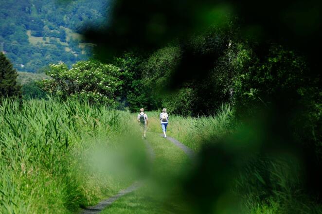 Spatzieren im Ruggeller Riet