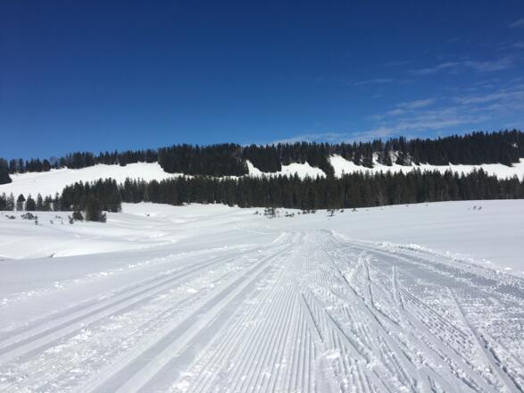 Schön angelegte Loipe durch das Hochmoor am Hochhäderich