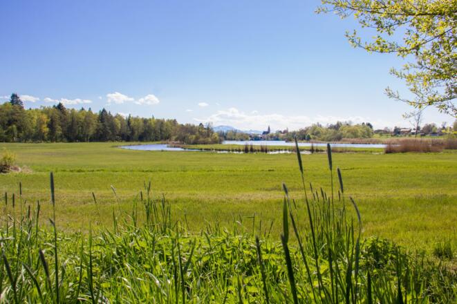 Blick von Stöffling auf Seebruck