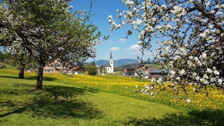 Blick auf die Pfarrkirche Müselbach