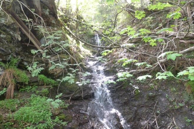 Weg zur Vogei Hütte