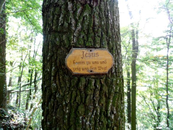 Schild