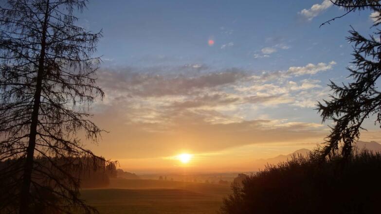 Morgenstimmung