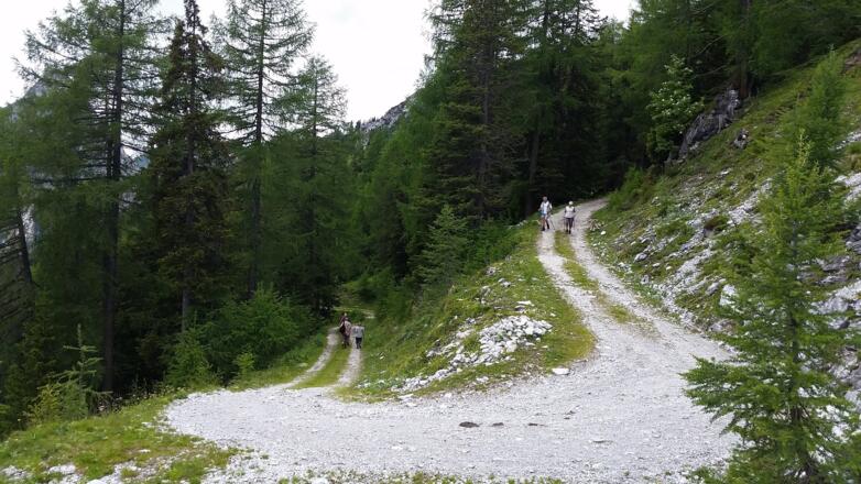 Weg zurück zum Schlierersee