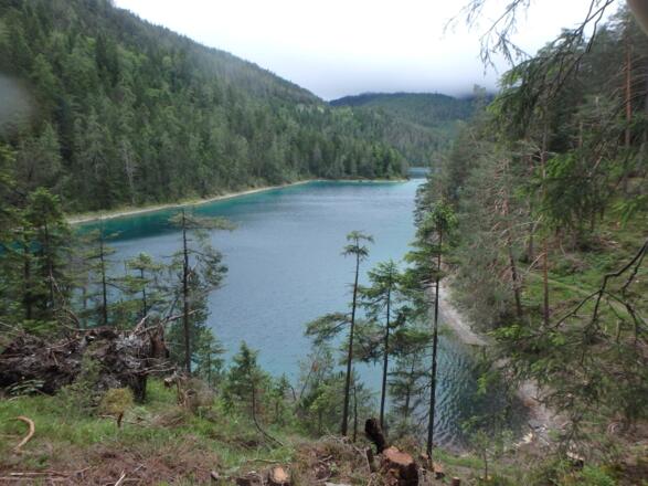 Blindsee